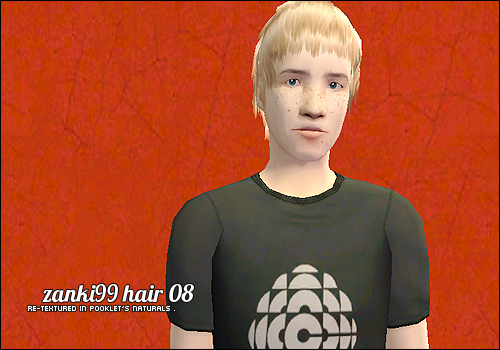 zankii99 hair08 m.zip