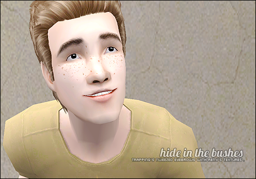 Trapping's Tweezed Eyebrows Remified.zip