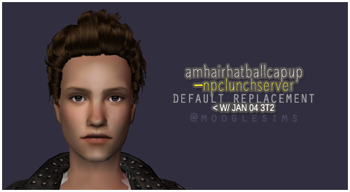 hairhatballcapup_npclunchserver.zip