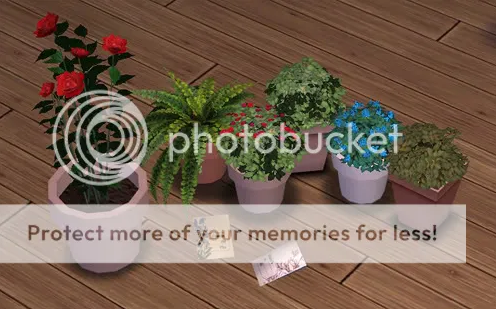 Amaryll_GardenPlants.rar