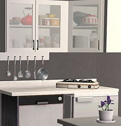 Amaryll_ASHShelvesSlavedToBBBasicKitchen.rar