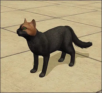 Macademia Miller.rar