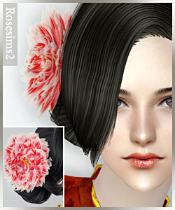 roseaccessories_0091.rar