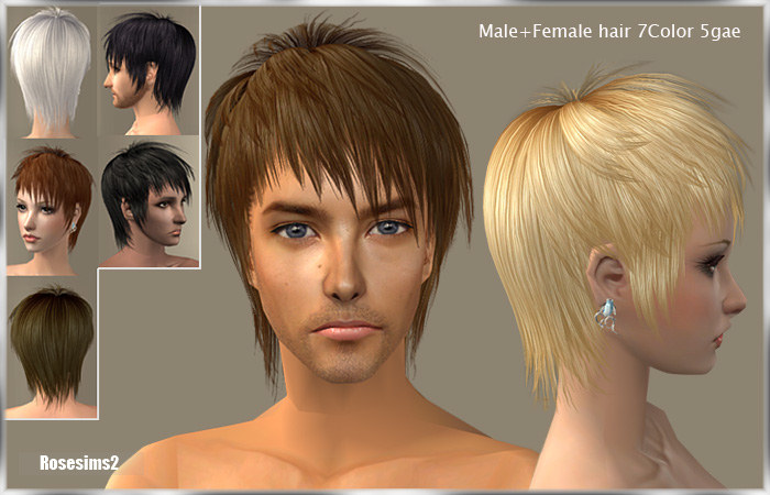 rosedonate_0091-1-Male.rar