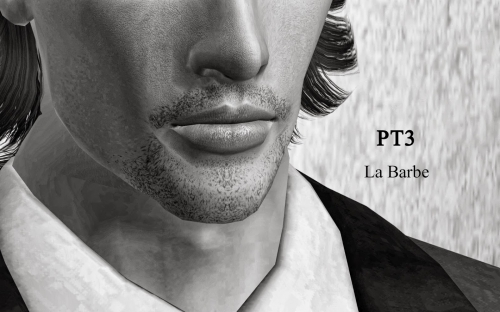 pantaogranny_Beard_PT3LaBarbe_TAEM.zip
