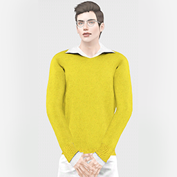 BLINKSIMS_PAINT_MY_LOVE_TOP.package