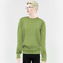 BLINKSIMS_SOMEDAY_SWEATER.package