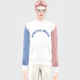 BLINKSIMS_REALLY_SWEATER.package