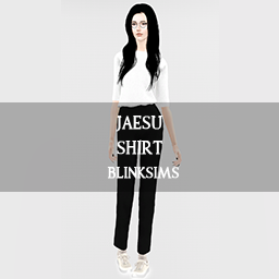 BLINKSIMS_JAESU_SET.zip