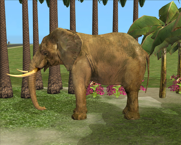 Bloom_Elephant.rar