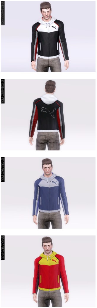 R2M_M_Puma01.sims3pack