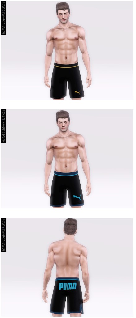 R2M_M_Puma05.sims3pack