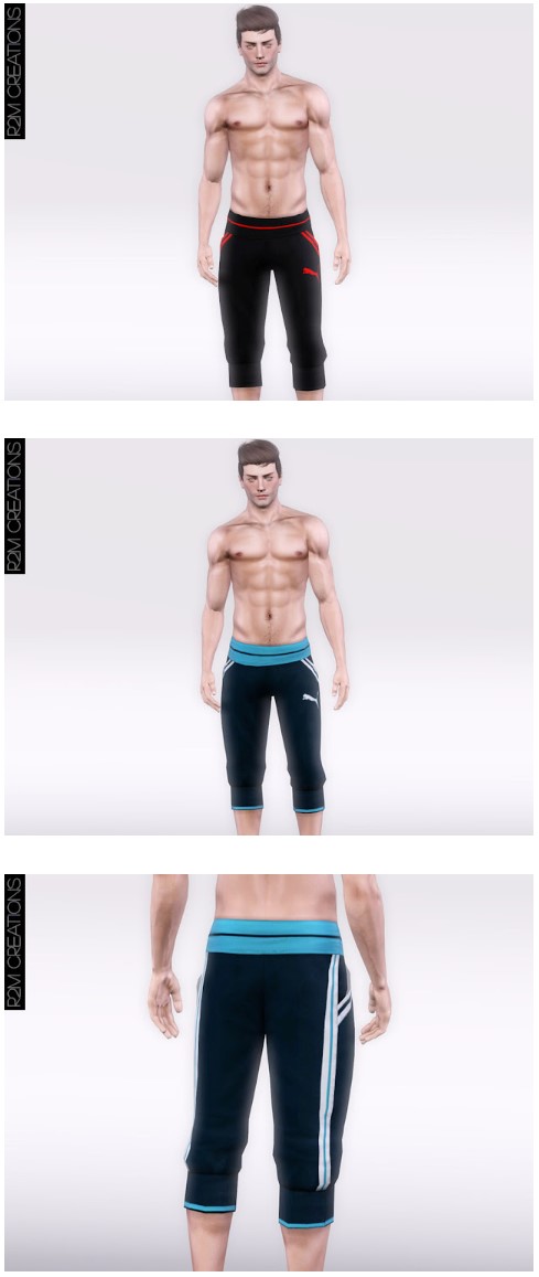 R2M_M_Puma03.sims3pack