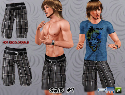 R2M Grid #01.sims3pack