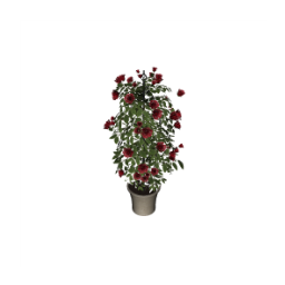 Buy_Obj_Decor_MJTS_CWB_Potted_Climbing_Roses.package