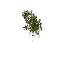 Buy_Obj_Decor_MJTS_CWB_Flowers_for_the_Family_Kitchen_Sink.package