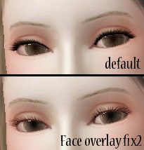 SLU_DR_FaceOverlayFix.zip