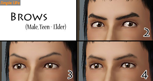 SLU_Eyebrows_M2-4_TAEM.zip