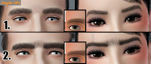 SLU_Eyebrows_FM01-02_TAEU.zip