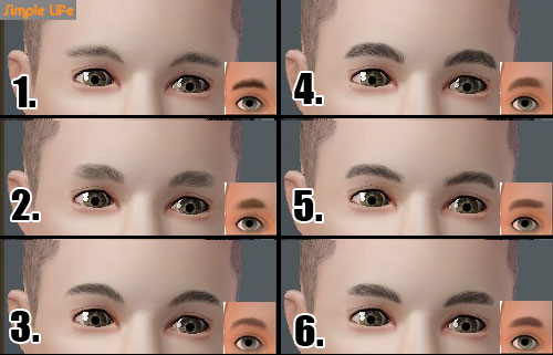 SLU_Eyebrows_T1-6_PCU.zip