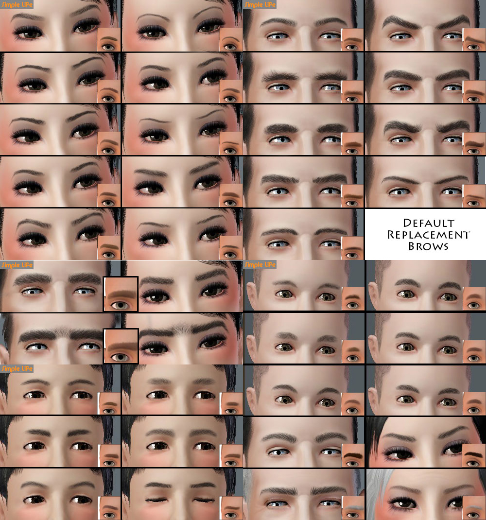 SLU_DR_EyebrowsAll.zip