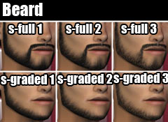 SLU_Beard_Beard2.zip