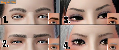 SLU_Eyebrows_TE1-4_TAEU.zip