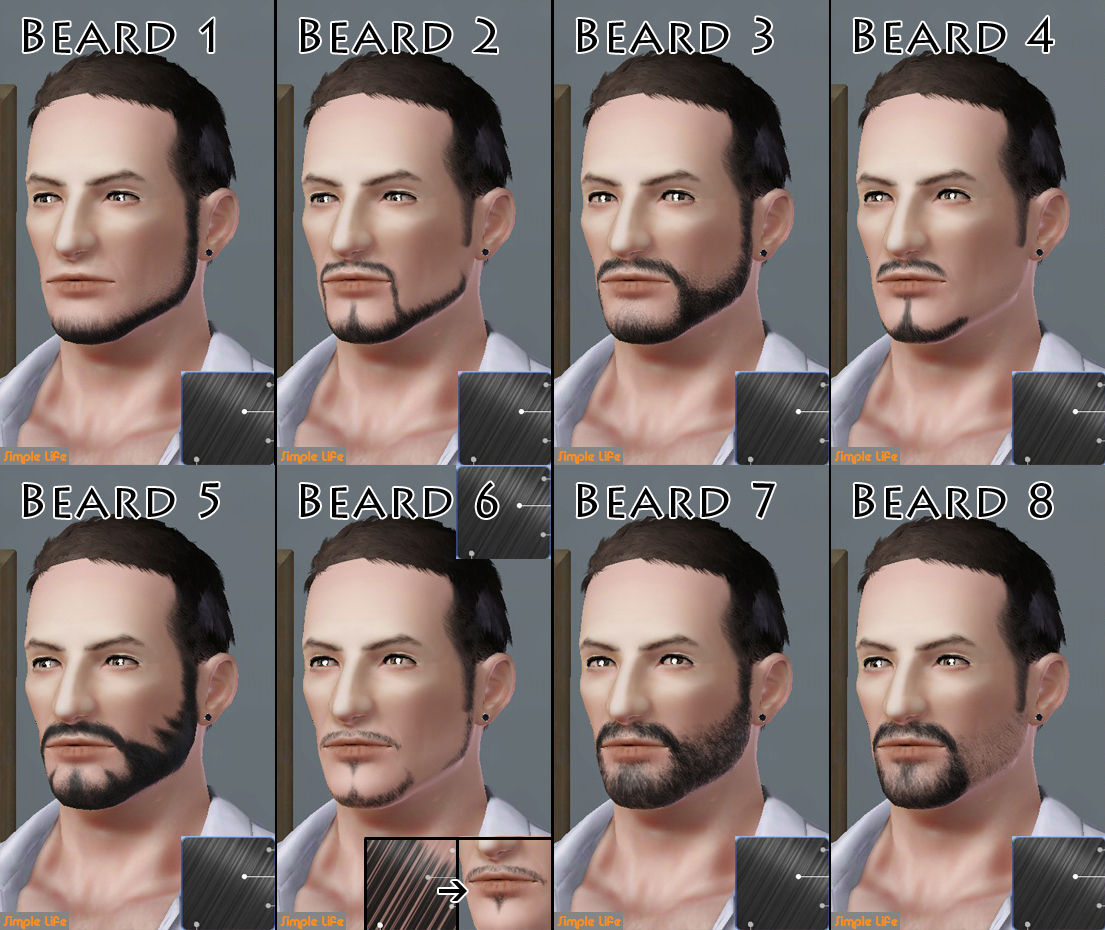 SLU_Beard_1-8_TAEM.zip
