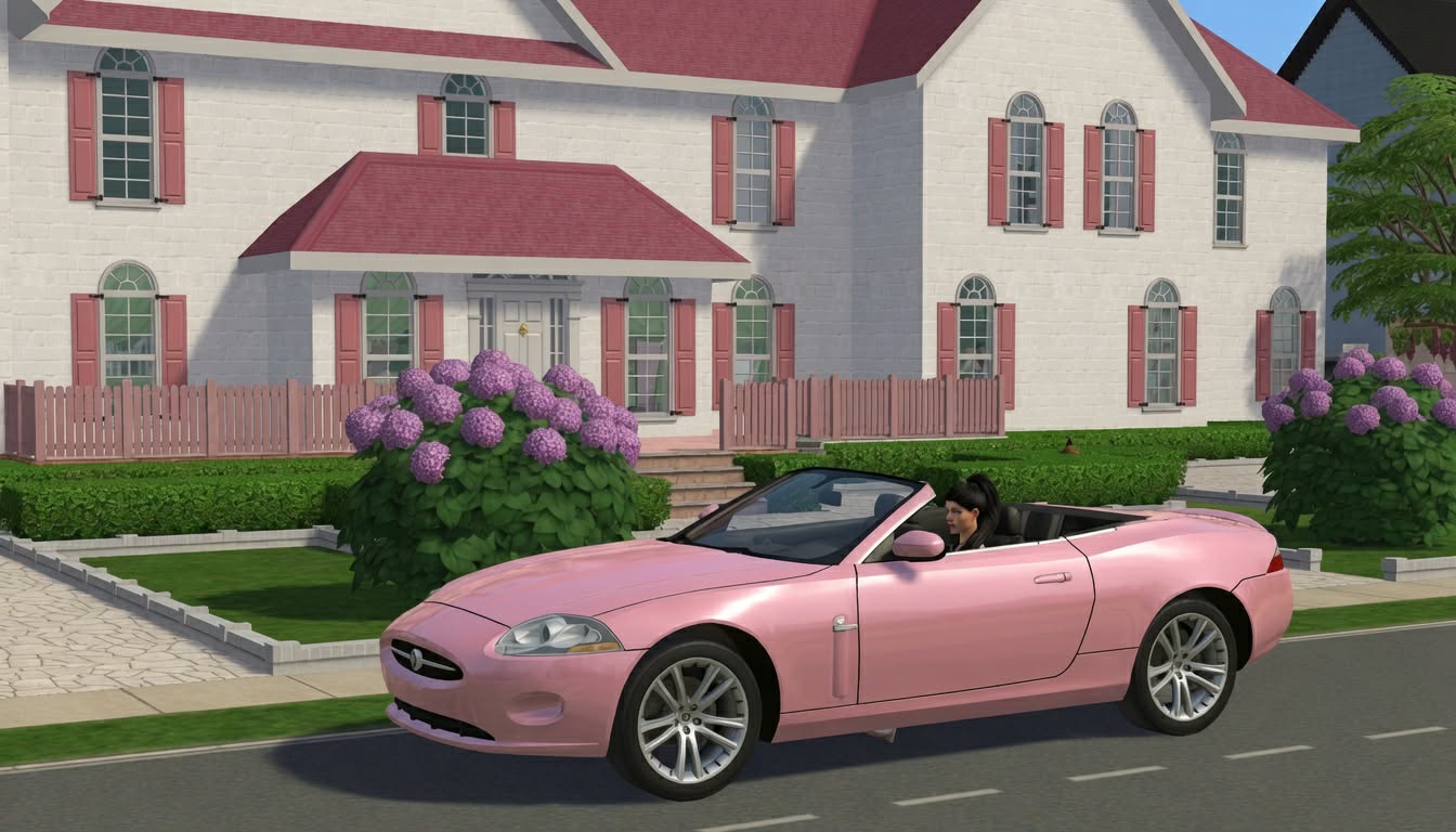 /core/uploads/2026/08/01/2a3a66c5-292f-4782-994b-73d4e0275fbd.jpg