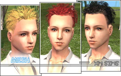 XMS_Flora_MeshHair011.zip