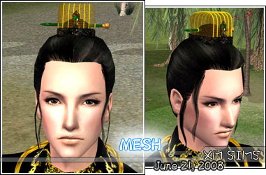 Qingming_MeshHair009.zip