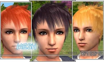 XMS_Flora_MeshHair023.zip