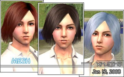 XMS_Flora_MeshHair071.zip