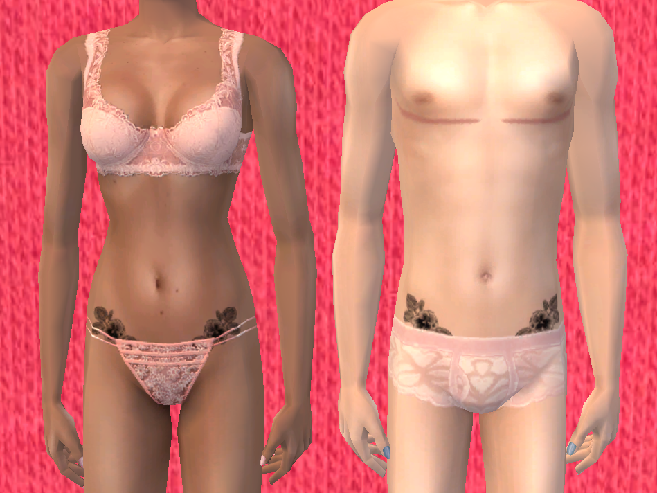 /core/uploads/2026/08/29/47bcc2f5-b40e-482b-b01f-5e1a4c364cd5.png