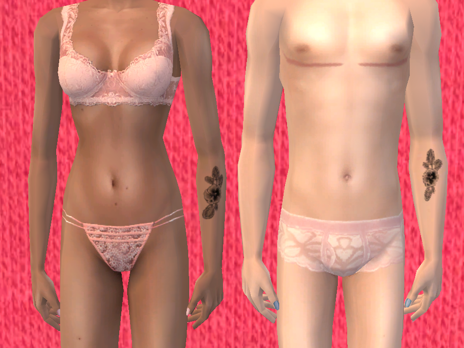 /core/uploads/2026/08/29/c763e8a2-473b-4c69-b58c-f1ddff185b5e.png