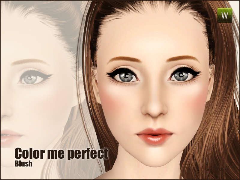 Gosik Color me perfect blush.package