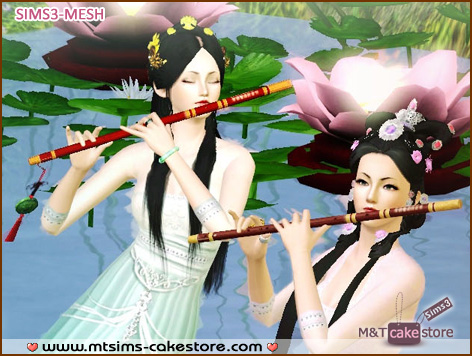 Chinachen84_Acc_ChineseFlutes_TAEU.zip