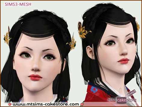 MTSims3-FAcc-RaoranComb-VP.zip