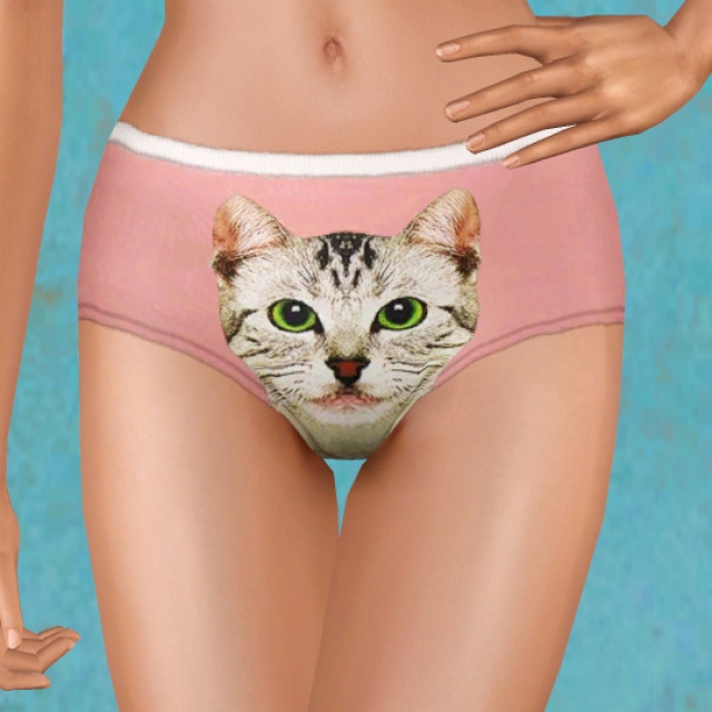 ulito4ka_BriefsCat_AF.zip