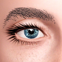 ulito4ka_Eyebrows_N1[OLD]_TAEF.rar